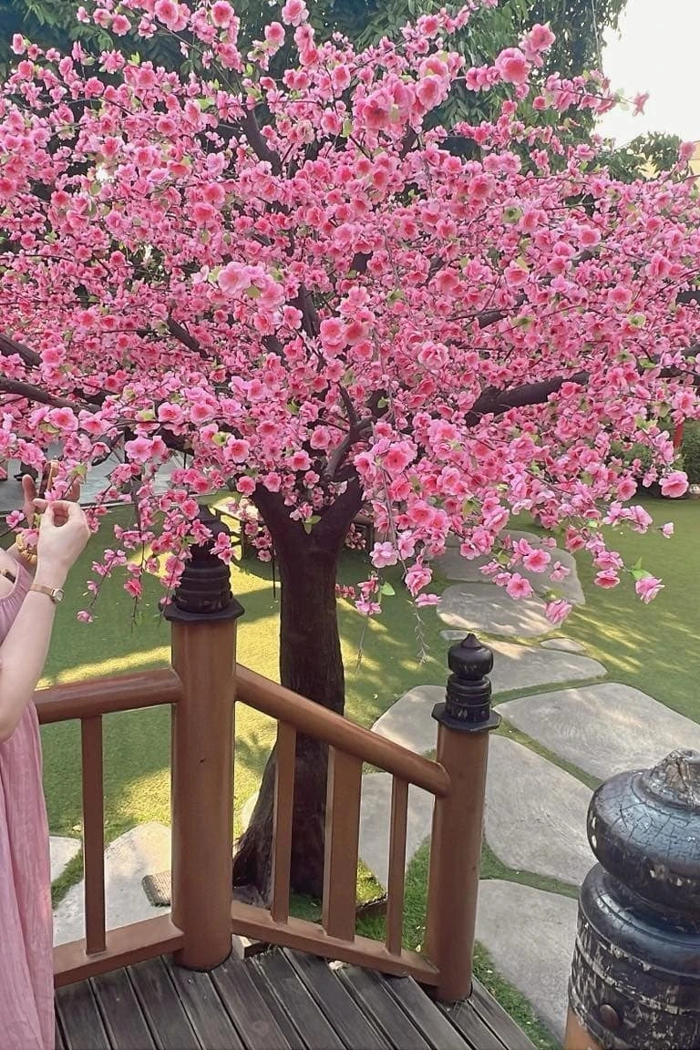 หมอผึ้ง นวดอิสระ