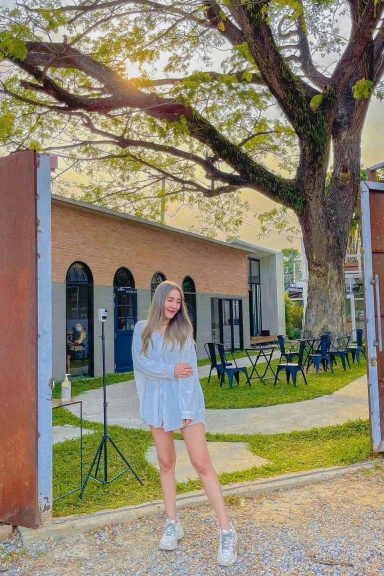 ชีสเค้ก